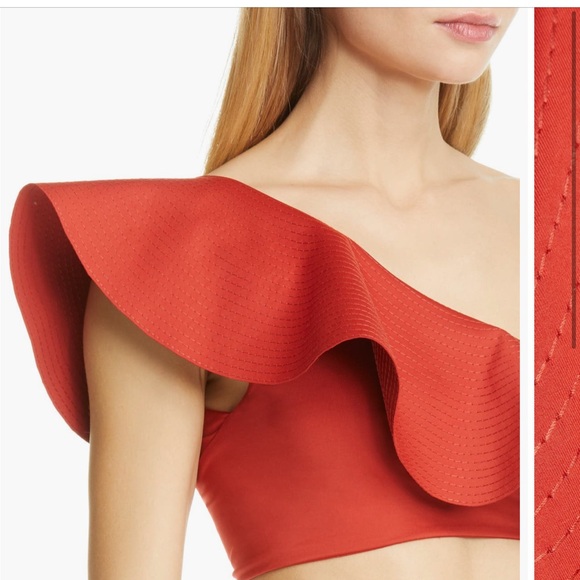 Johanna Ortiz Ruffle One-Shoulder Bikini Top - Picture 4 of 10